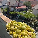 Milaren Appartement Crikvenica